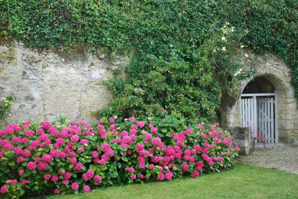 Le Pavillon De La Lanterne Vila Rochecorbon Exterior foto